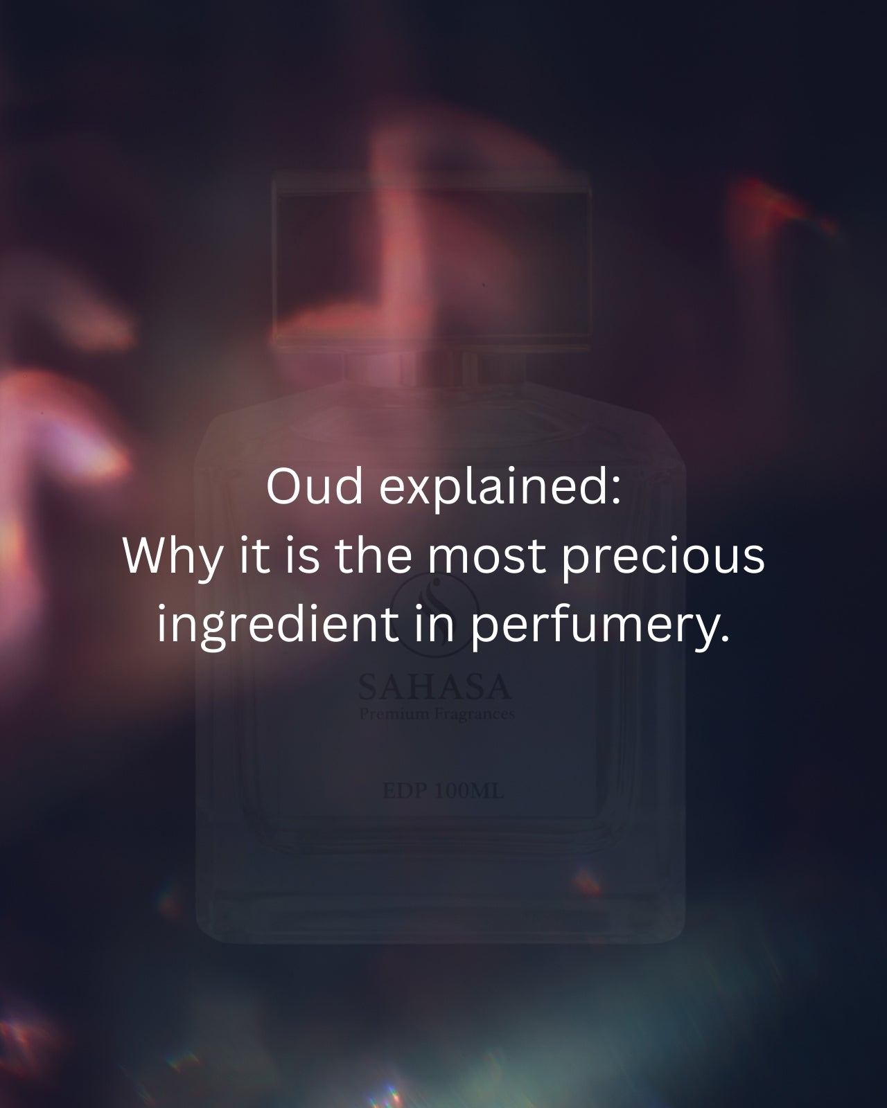 Oud Explained: Why It’s the Most Precious Ingredient in Perfumery